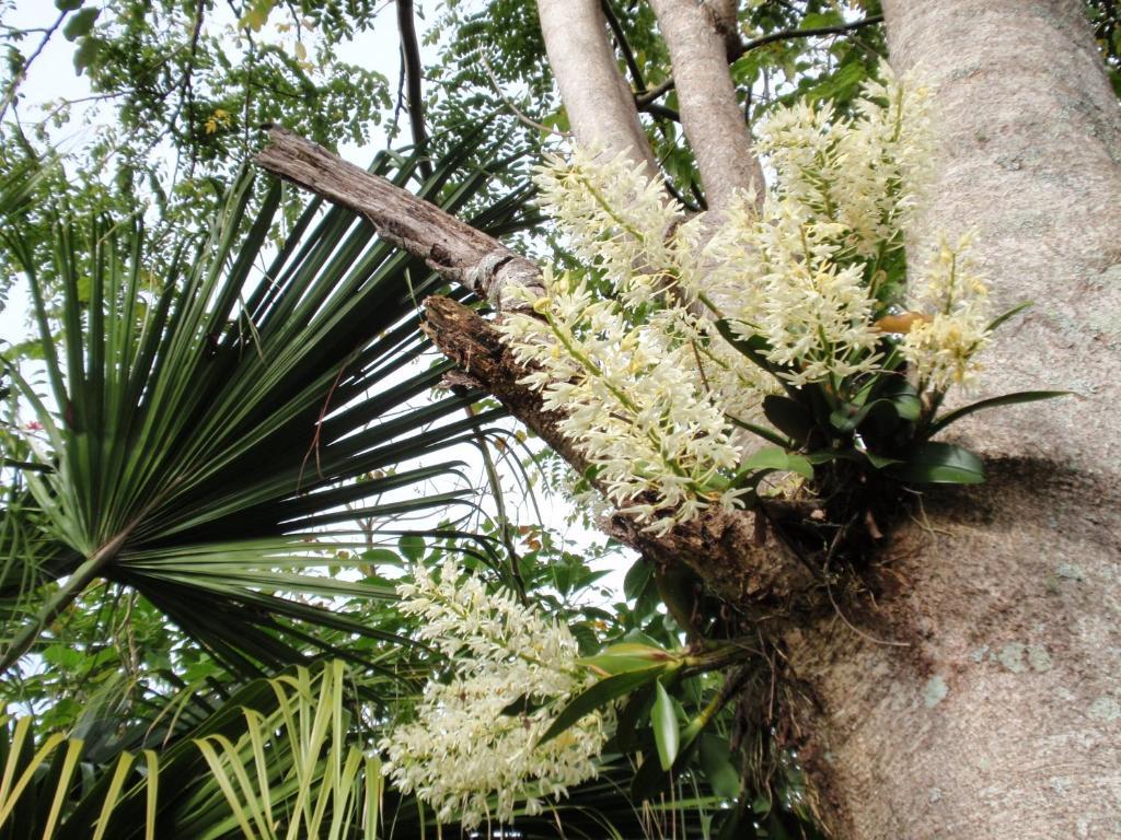 Wharepuke Subtropical Accommodation เคริเคริ ภายนอก รูปภาพ