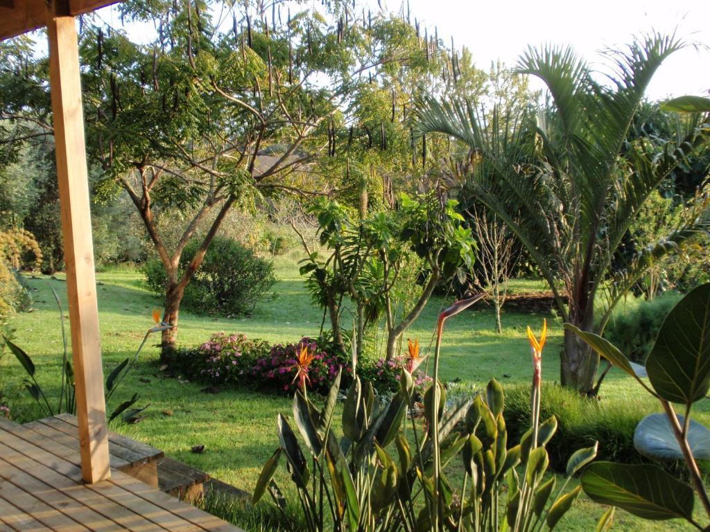 Wharepuke Subtropical Accommodation เคริเคริ ห้อง รูปภาพ