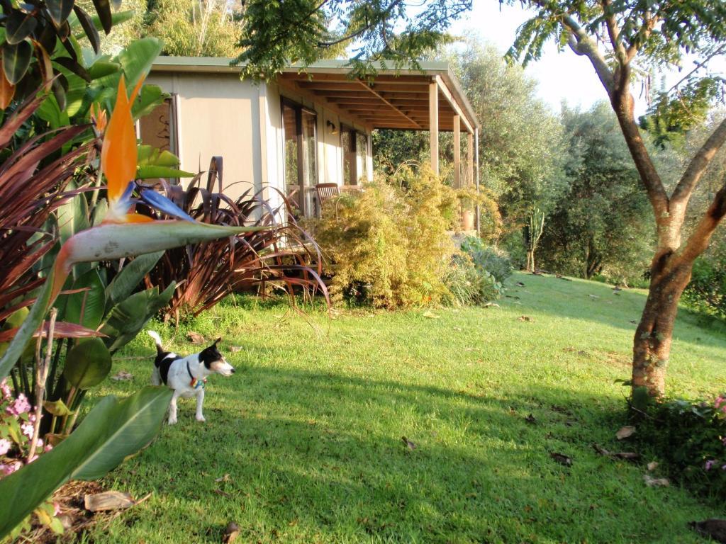 Wharepuke Subtropical Accommodation เคริเคริ ห้อง รูปภาพ