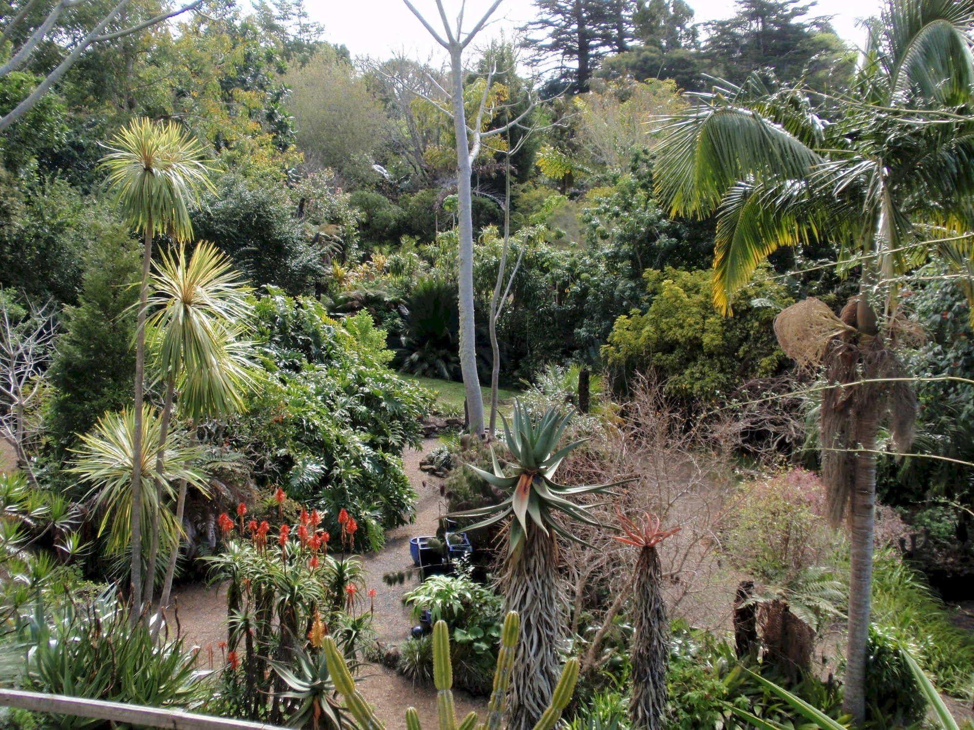 Wharepuke Subtropical Accommodation เคริเคริ ภายนอก รูปภาพ