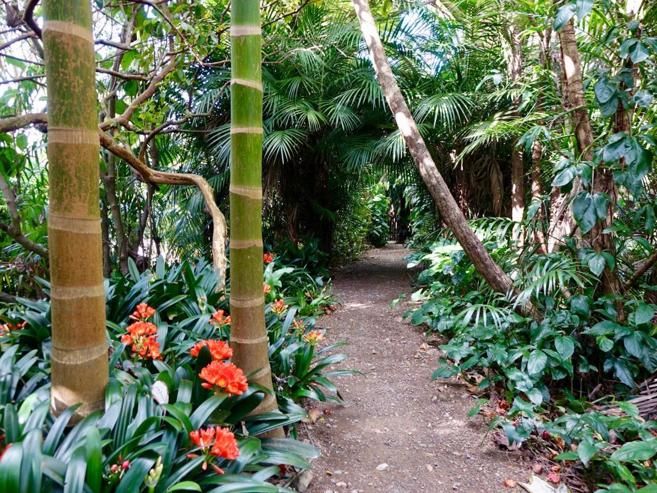 Wharepuke Subtropical Accommodation เคริเคริ ภายนอก รูปภาพ